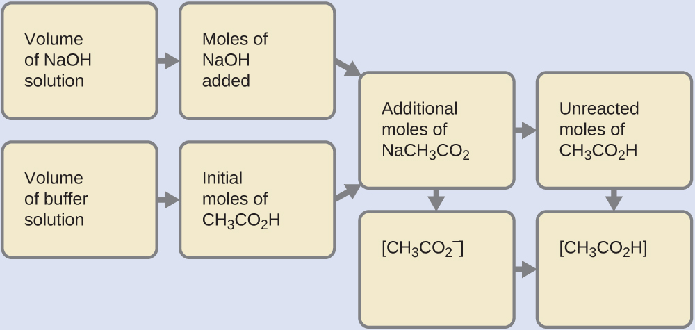 Eight tan rectangles are shown in four columns of two rectangles each that are connected with right pointing arrows. The first rectangle in the upper left is labeled “Volume of N a O H solution.” An arrow points right to a second rectangle labeled “Moles of N a O H added.” A second arrow points right to a third rectangle labeled “Additional moles of N a C H subscript 3 C O subscript 2.” Just beneath the first rectangle in the upper left is a rectangle labeled “Volume of buffer solution.” An arrow points right to another rectangle labeled “Initial moles of C H subscript 3 C O subscript 2 H.” This rectangle points to the same third rectangle, which is labeled “ Additional moles of N a C H subscript 3 C O subscript 2.” An arrow points right to a rectangle labeled “ Unreacted moles of C H subscript 3 C O subscript 2 H.” An arrow points from this rectangle to a rectangle below labeled “[ C H subscript 3 C O subscript 2 H ].” An arrow extends below the “Additional moles of N a C H subscript 3 C O subscript 2” rectangle to a rectangle labeled “[ C H subscript 3 C O subscript 2 ].” This rectangle points right to the rectangle labeled “[ C H subscript 3 C O subscript 2 H ].”