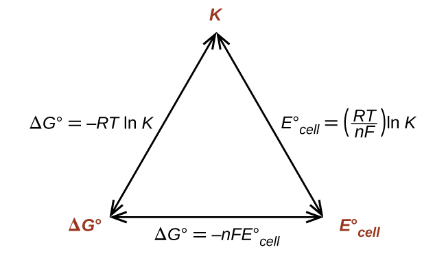 A diagram is shown that involves three double headed arrows positioned in the shape of an equilateral triangle. The vertices are labeled in red. The top vertex is labeled “K.“ The vertex at the lower left is labeled “delta G superscript degree symbol.” The vertex at the lower right is labeled “E superscript degree symbol subscript cell.” The right side of the triangle is labeled “E superscript degree symbol subscript cell equals ( R T divided by n  F ) l n K.” The lower side of the triangle is labeled “delta G superscript degree symbol equals negative n F E superscript degree symbol subscript cell.” The left side of the triangle is labeled “delta G superscript degree symbol equals negative R T l n K.”