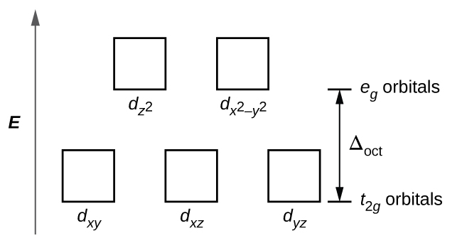 A diagram is shown with a vertical arrow pointing upward along the height of the diagram at its left side. This arrow is labeled, “E.” to the right of this arrow are two rows of squares outlined in yellow. The first row has three evenly spaced squares labeled left to right, “d subscript ( x y ),” “d subscript ( x z ),” and, “d subscript ( y z ).” The second row is positioned just above the first and includes two evenly spaced squares labeled, “d subscript ( z superscript 2 ),” and, “d subscript ( x superscript 2 minus y superscript 2 ).” At the right end of the diagram, a short horizontal line segment is drawn just right of the lower side of the rightmost square. A double sided arrow extends from this line segment to a second horizontal line segment directly above the first and right of the lower side of the squares in the second row. The arrow is labeled “ capital delta subscript oct.”. The lower horizontal line segment is similarly labeled “t subscript 2 g orbitals” and the upper line segment is labeled “e subscript g orbitals.”