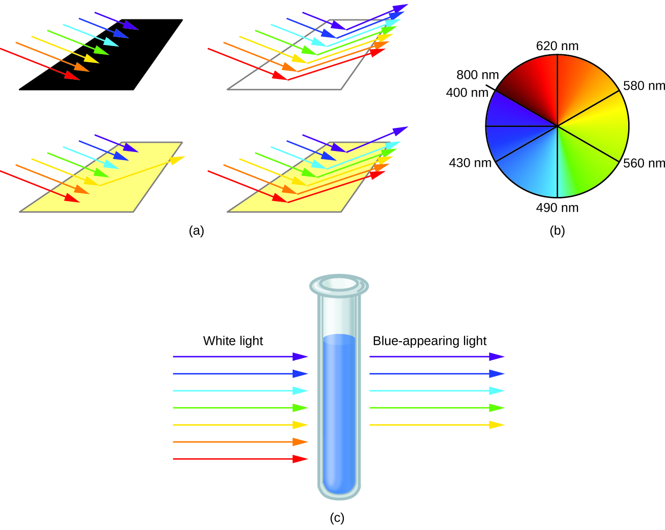 This figure includes three diagrams. In a, red, orange, yellow, green, blue, indigo, and violet incident arrows point from the upper left to the lower right toward one black, one white, and two yellow rectangular surfaces. No arrows are indicated leaving the black surface. On the white surface, arrows of all included colors extend from the surface of the rectangle extending from just right of the tips of the incident arrows that approach the rectangle to the upper right. For the first yellow surface, only a yellow arrow extends from a point just past the tip of the yellow incident arrow to the upper right. For the second yellow surface, all colors of arrows except indigo extend from points just past the tips of the incident arrows to the upper right. In b, a circle shaded in red at the upper left blends to orange, yellow, green, blue, indigo, and violet moving clockwise about the circle. The leftmost side of the red region has a radius that is labeled, “800 n m,” at the edge of the circle. A radius drawn to the top of the circle in the red-orange region is labeled, “620 n m.” A radius drawn to a point near the center of the first quadrant of the circle in the orange-yellow region is labeled, “580 n m.” A radius drawn to a point near the center of the second quadrant of the circle in the yellow-green region is labeled, “560 n m.” A radius drawn to the bottom of the circle in the blue region is labeled, “490 n m.” A radius drawn to a point near the center of the third quadrant of the circle in the indigo region is labeled, “430 n m.” An unlabeled radius is drawn to the leftmost point on the circle in the violet region. The violet region ends where the red region began on the circle. This radius is labeled, “400 n m,” just to the left and below the, “800 n m,” label associated with the red region. In c, a test tube containing a blue substance is shown. To the left of the test tube, incident colored arrows are shown pointing to the test tube. The colors of the arrows in order from bottom to top are red, orange, yellow, green, blue, indigo, and violet. Above these arrows is the label, “White light.” To the right of the test tube, yellow, green, blue, indigo, and violet arrows point right. These arrows are positioned at the same level on the test tube as their matching incident arrows on the left of the test tube. Above these arrows is the label, “Blue-appearing light.”
