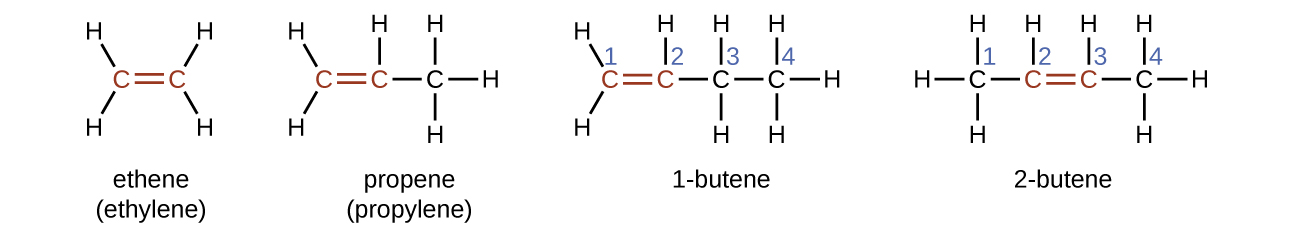 Four structural formulas and names are shown. The first shows two red C atoms connected by a red double bond illustrated with two parallel line segments. H atoms are bonded above and below to the left of the left-most C atom. Two more H atoms are similarly bonded to the right of the C atom on the right. Beneath this structure the name ethene and alternate name ethylene are shown. The second shows three C atoms bonded together with a red double bond between the red first and second C atoms moving left to right across the three-carbon chain. H atoms are bonded above and below to the left of the C atom to the left. A single H is bonded above the middle C atom. Three more H atoms are bonded above, below, and to the right of the third C atom. Beneath this structure the name propene and alternate name propylene is shown. The third shows four C atoms bonded together, numbered one through four moving left to right with a red double bond between the red first and second carbon in the chain. H atoms are bonded above and below to the left of the C atom to the left. A single H is bonded above the second C atom. H atoms are bonded above and below the third C atom. Three more H atoms are bonded above, below, and to the right of the fourth C atom. Beneath this structure the name 1 dash butene is shown. The fourth shows four C atoms bonded together, numbered one through four moving left to right with a red double bond between the red second and third C atoms in the chain. H atoms are bonded above, below, and to the left of the left-most C atom. A single H atom is bonded above the second C atom. A single H atom is bonded above the third C atom. Three more H atoms are bonded above, below, and to the right of the fourth C atom. Beneath this structure the name 2 dash butene is shown.