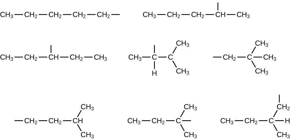 Eight structures are shown. The first includes C H subscript 3 bonded to C H subscript 2 bonded to C H subscript 2 bonded to C H subscript 2 bonded to C H subscript 2 with a bond. The second shows C H subscript 3 bonded to C H subscript 2 bonded to C H subscript 2 bonded to C H bonded to C H subscript 3. There is a bond above the fourth C atom (from left to right). The third shows C H subscript 3 bonded to C H subscript 2 bonded to C H bonded to C H subscript 2 bonded to C H subscript 3. There is a bond above the third C atom (from left to right). The five remaining examples involve branching. The fourth structure shows C H subscript 3 bonded to C bonded to C. The second C atom (from left to right) has a bond above it and a bond to an H atom below it. The third C is bonded to two C H subscript 3 groups as well as an H atom. The fifth shows a bond leading to a C H subscript 2 group which is bonded to a C atom. This C atom is bonded to three C H subscript 3 groups. The sixth shows a bond and then C H subscript 2 bonded to C H subscript 2 bonded to C H. The C H is bonded to two C H subscript 3 groups. The seventh shows C H subscript 3 bonded to C H subscript 2 bonded to C with a bond. The C is also bonded to two C H subscript 3 groups. The final structure shows C H subscript 3 bonded to C H subscript 2 bonded to C H. The C H is bonded to a C H subscript 2 group with a bond and a C H subscript 3 group.