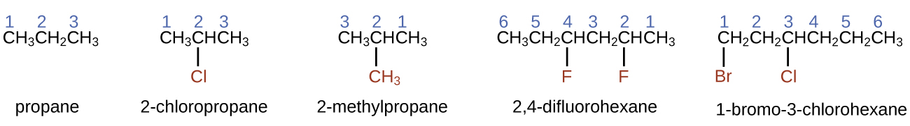 This figure shows structural formulas for propane, 2 dash chloropropane, 2 dash methylpropane, 2 comma 4 dash difluorohexane, and 1 dash bromo dash 3 dash chlorohexane. In each of the structures, the carbon atoms are in a row with bonded halogen atoms and a methyl group bonded below the figures. Propane is listed as simply C H subscript 3 C H subscript 2 C H subscript 3, with the numbers 1, 2, and 3 appearing above the carbon atoms from left to right. 2 dash chloropropane similarly shows C H subscript 3 C H C H subscript 3, with the numbers 1, 2, and 3 appearing above the carbon atoms from left to right. A C l atom is bonded below carbon 2. The C l atom is red. 2 dash methylpropane similarly shows C H subscript 3 C H C H subscript 3, with the numbers 3, 2, and 1 appearing above the carbon atoms from left to right. A C H subscript 3 group is bonded beneath carbon 2 and is red. 2 comma 4 dash difluorohexane similarly shows C H subscript 3 C H subscript 2 C H C H subscript 2 C H C H subscript 3, with the numbers 6, 5, 4, 3, 2, and 1 appearing above the carbon atoms from left to right. F atoms are bonded to carbons 4 and 2 at the bottom of the structure and are red. 1 dash bromo dash 3 dash chlorohexane similarly shows C H subscript 2 C H subscript 2 C H C H subscript 2 C H subscript 2 C H subscript 3, with numbers 1, 2, 3, 4, 5, and 6 appearing above the carbon atoms from left to right. B r is bonded below carbon 1 and C l is bonded below carbon 3. Both B r and C l are red.