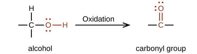 A reaction is shown. On the left appears an alcohol and on the right, a carbonyl group. Above the reaction arrow appears the word “oxidation.” The alcohol is represented as a C atom with dashes to the left and below, an H atom bonded above, and an O atom bonded to an H atom in red connected to the right. The O atom has two sets of electron dots. The carbonyl group is indicated in red with a C atom to which an O atom is double bonded above. Dashes appear left and right of the C atom in black. The O atom has two sets of electron dots.