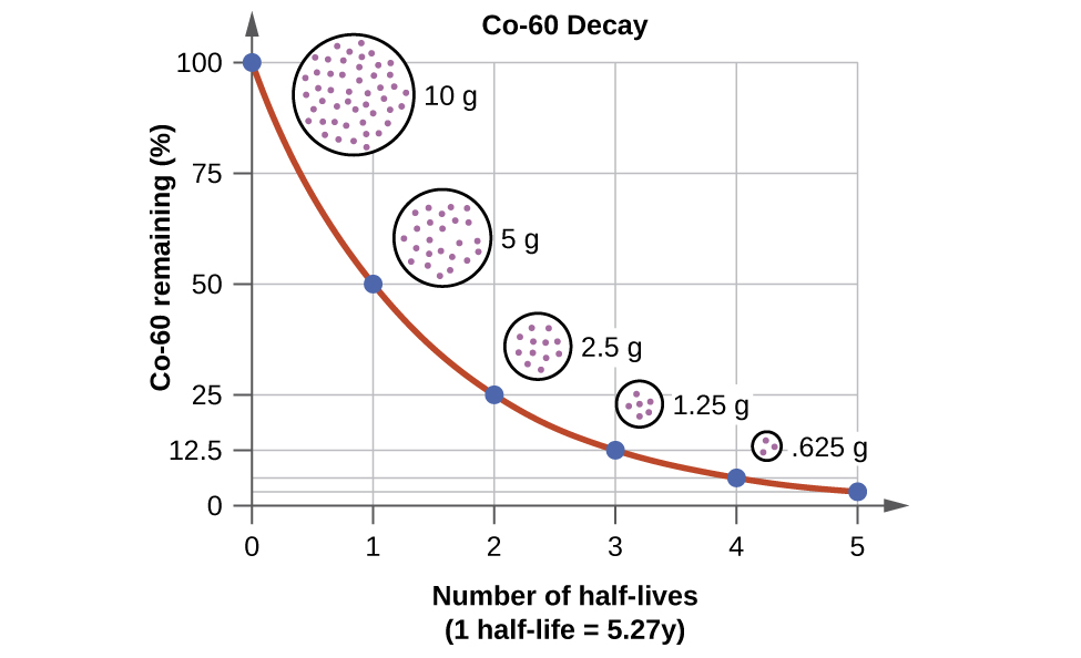 A graph, titled “C o dash 60 Decay,” is shown where the x-axis is labeled “C o dash 60 remaining, open parenthesis, percent sign, close parenthesis” and has values of 0 to 100 in increments of 25. The y-axis is labeled “Number of half dash lives” and has values of 0 to 5 in increments of 1. The first point, at “0, 100” has a circle filled with tiny dots drawn near it labeled “10 g.” The second point, at “1, 50” has a smaller circle filled with tiny dots drawn near it labeled “5 g.” The third point, at “2, 25” has a small circle filled with tiny dots drawn near it labeled “2.5 g.” The fourth point, at “3, 12.5” has a very small circle filled with tiny dots drawn near it labeled “1.25 g.” The last point, at “4, 6.35” has a tiny circle filled with tiny dots drawn near it labeled.”625 g.”