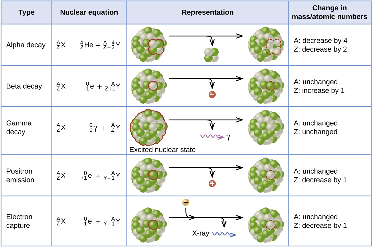 This table has four columns and six rows. The first row is a header row and it labels each column: “Type,” “Nuclear equation,” “Representation,” and “Change in mass / atomic numbers.” Under the “Type” column are the following: “Alpha decay,” “Beta decay,” “Gamma decay,” “Positron emission,” and “Electron capture.” Under the “Nuclear equation” column are several equations. Each begins with superscript A stacked over subscript Z X. There is a large gap of space and then the following equations: “superscript 4 stacked over subscript 2 He plus superscript A minus 4 stacked over subscript Z minus 2 Y,” “superscript 0 stacked over subscript negative 1 e plus superscript A stacked over subscript Z plus 1 Y,” “superscript 0 stacked over subscript 0 lowercase gamma plus superscript A stacked over subscript Z Y,” “superscript 0 stacked over subscript positive 1 e plus superscript A stacked over subscript Y minus 1 Y,” and “superscript 0 stacked over subscript negative 1 e plus superscript A stacked over subscript Y minus 1 Y.” Under the “Representation” column are the five diagrams. The first shows a cluster of green and white spheres. A section of the cluster containing two white and two green spheres is outlined. There is a right-facing arrow pointing to a similar cluster as previously described, but the outlined section is missing. From the arrow another arrow branches off and points downward. The small cluster to two white spheres and two green spheres appear at the end of the arrow. The next diagram shows the same cluster of white and green spheres. One white sphere is outlined. There is a right-facing arrow to a similar cluster, but the white sphere is missing. Another arrow branches off the main arrow and a red sphere with a negative sign appears at the end. The next diagram shows the same cluster of white and green spheres. The whole sphere is outlined and labeled, “excited nuclear state.” There is a right-facing arrow that points to the same cluster. No spheres are missing. Off the main arrow is another arrow which points to a purple squiggle arrow which in turn points to a lowercase gamma. The next diagram shows the same cluster of white and green spheres. One green sphere is outlined. There is a right-facing arrow to a similar cluster, but the green sphere is missing. Another arrow branches off the main arrow and a red sphere with a positive sign appears at the end. The next diagram shows the same cluster of white and green spheres. One green sphere is outlined. There is a right-facing arrow to a similar cluster, but the green sphere is missing. Two other arrows branch off the main arrow. The first shows a gold sphere with a negative sign joining with the right-facing arrow. The secon points to a blue squiggle arrow labeled, “X-ray.” Under the “Change in mass / atomic numbers” column are the following: “A: decrease by 4, Z: decrease by 2,” “A: unchanged, Z: increased by 1,” “A: unchanged, Z: unchanged,” “A: unchanged, Z: unchanged,” “A: unchanged, Z: decrease by 1,” and “A: unchanged, Z: decrease by 1.”