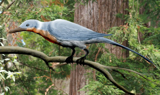 The photo shows a bird sitting on a branch.