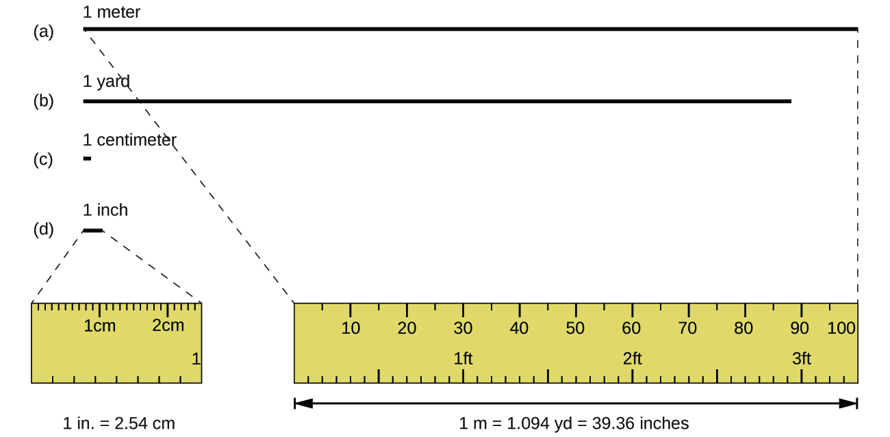 One meter is slightly larger than a yard and one centimeter is less than half the size of one inch. 1 inch is equal to 2.54 cm. 1 m is equal to 1.094 yards which is equal to 39.36 inches.