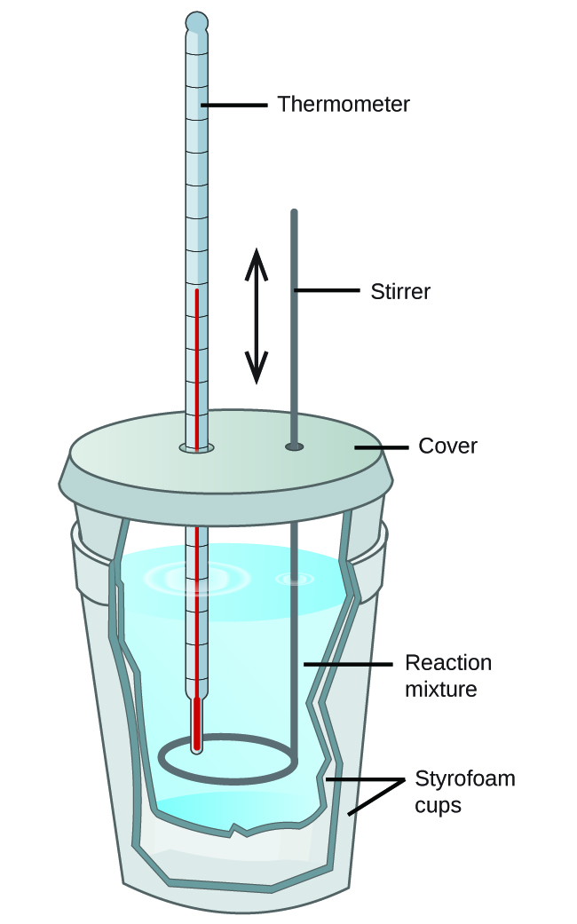 Two Styrofoam cups are shown nested in one another with a cover over the top. A thermometer and stirring rod are inserted through the cover and into the solution inside the cup, which is shown as a cut-away. The stirring rod has a double headed arrow next to it facing up and down. The liquid mixture inside the cup is labeled “Reaction mixture.”