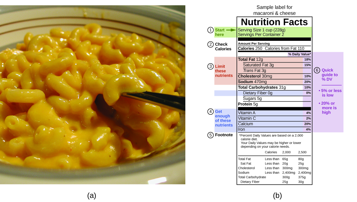 Two pictures are shown and labeled a and b. Picture a shows a close-up of a bowl of macaroni and cheese. Picture b is a food label that contains highlighted information in a table format. The top of the label reads “Sample label for macaroni and cheese.” Below this are the words “Nutrition facts.” Below this are two lines of highlighted text that read “Serving size one cup (228 g)” and “Servings per container 2.” A label to the left of these lines reads “Start here” and a right-facing arrow is beside these words. Below this are the words “check calories” which lie to the left of the phrases “Amount per serving” which is above the words “Calories 250” and “Calories from fat 210.” The next segment of the label is highlighted and contains five phrases “Total fat 12 g,” “Saturated fat 3 g,” “Trans fat 3 g,” “Cholesterol 30 m g,” and “Sodium 470 m g.” The phrase “Limit these nutrients” lies to the left of these five phrases. The phrase below these is “Total carbohydrates 31 g” and is followed by a highlighted phrase, “Dietary fiber 0 g.” Below this are the phrases “Sugars 5 g” and “Proteins 5 g.” Below this is a highlighted portion containing the phrases “Vitamin A,” “Vitamin C,” “Calcium,” and “Iron.” A label to the left of these terms states “Get enough of these nutrients.” The bottom of the label is labeled “Footnote” and reads “Percent daily values are based on a 2,000 calorie diet. Your daily values may be higher or lower depending on your calorie needs.” Each of the highlighted terms in the table are in line with a percentage value to the right of the table. A note on the outer right of the table states “Quick guide to % DV”, “5% or less is low” and “20% or more is high. The daily value for total fat is 18%, for saturated fat is 15%, for cholesterol is 10%, for sodium is 20%, for total carbohydrates is 10%, for dietary fiber is 0%, for vitamin A is 4%, for vitamin C is 2%, for calcium is 20%, and for iron is 4%.” At the very bottom is a table that indicates calories at 2,000 and 2,500. For total fat the table indicates less than 65 g for 2,000 calories and 80 g from 2,500 calories. For saturated fat the table indicates less than 20 g for 2,000 calories and 25 g for 2,500 calories. For cholesterol the table indicates less than 300 m g for 2,000 calories and 300 m g for 2,500 calories. For sodium the table indicates less than 2,400 m g for 2,000 calories and 2,400 m g for 2,500 calories. For total carbohydrate the table indicates 300 g for 2,000 calories and 375 g for 2,500 calories. For dietary fiber the table indicates 25 g for 2,000 calories and 30 g for 2,500 calories.