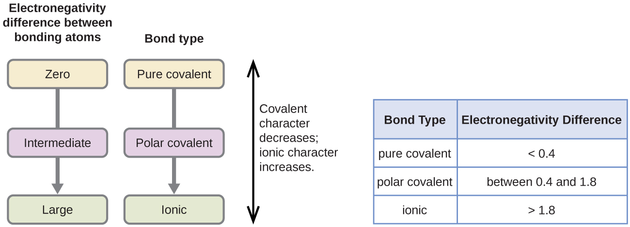 Two flow charts and table are shown. The first flow chart is labeled, “Electronegativity difference between bonding atoms.” Below this label are three rounded text bubbles, connected by a downward-facing arrow, labeled, “Zero,” “Intermediate,” and “Large,” respectively. The second flow chart is labeled, “Bond type.” Below this label are three rounded text bubbles, connected by a downward-facing arrow, labeled, “Pure covalent,” “Polar covalent,” and “Ionic,” respectively. A double ended arrow is written vertically to the right of the flow charts and labeled, “Covalent character decreases; ionic character increases.” The table is made up of two columns and four rows. The header line is labeled “Bond type” and “Electronegativity difference.” The left column contains the phrases “Pure covalent,” “Polar covalent,” and “Ionic,” while the right column contains the values “less than 0.4,” “between 0.4 and 1.8,” and “greater than 1.8.”