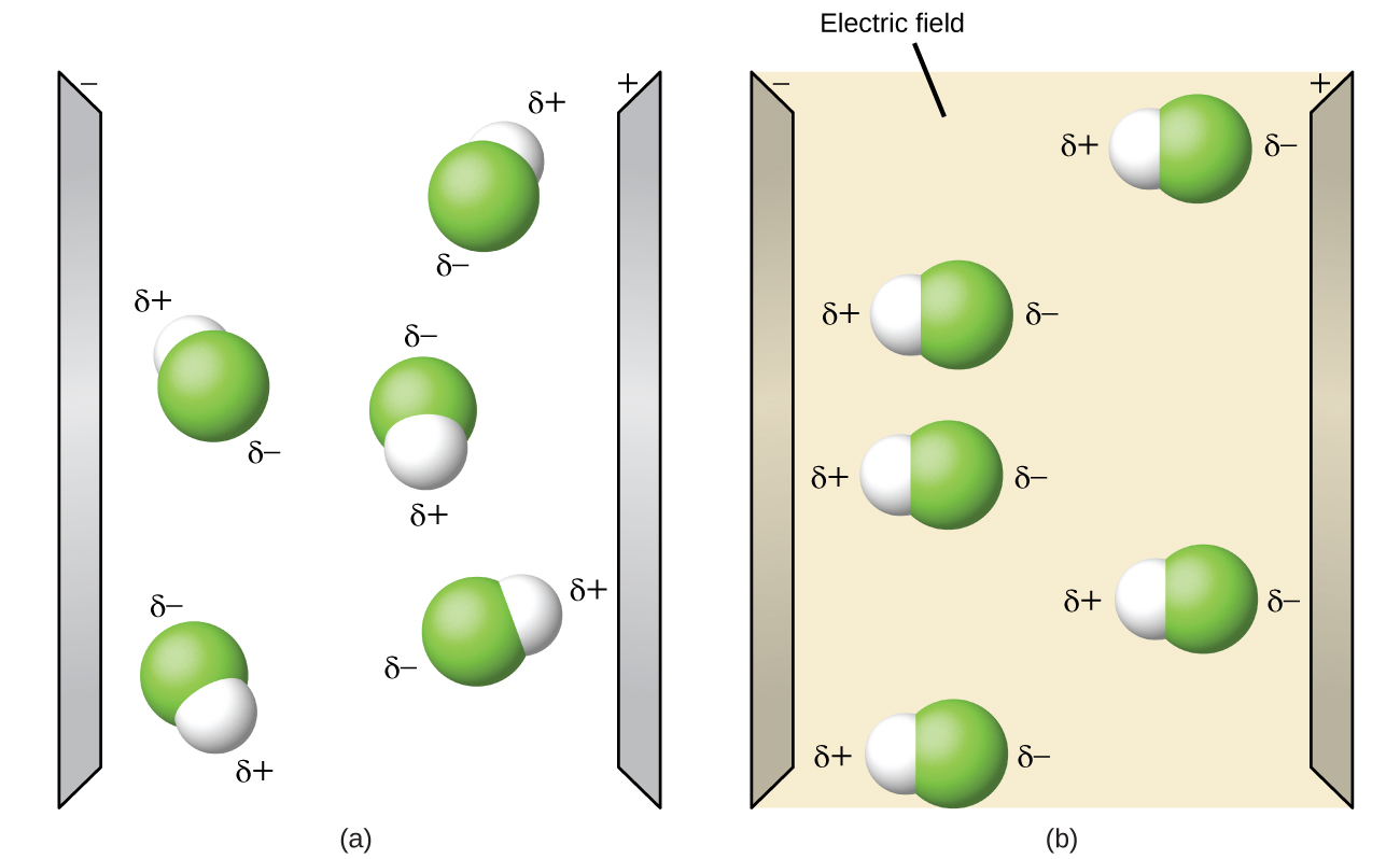 Two diagrams are shown and labeled, “a” and “b.” Diagram a shows two vertical, black lines. The left line is labeled with a negative sign and the right with a positive sign. There are five molecules in between. The molecules are separate from one another and are composed of a hydrogen atom bonded to a fluorine atom. The fluorine atom is labeled with a dipole symbol and a superscripted negative sign while the hydrogen atom is labeled with a dipole symbol and a superscripted positive sign. The molecules are randomly oriented in the space. The right diagram is also bracketed by two vertical, lines, but this time the line labeled as negative is red and the line labeled as positive is blue. The same molecules are present, but this time they are all facing horizontally, with the hydrogen-end of each molecule facing toward the red line.