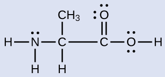 A Lewis structure depicts a nitrogen atom with two lone pairs of electrons that is single bonded to two hydrogen atoms and a carbon atom, which is, in turn, single bonded to a hydrogen atom, a methyl group and another carbon atom. This carbon atom is single bonded to an oxygen atom with two lone pairs of electrons and single bonded to an oxygen that has two lone pairs of electrons and a single bond to a hydrogen atom.