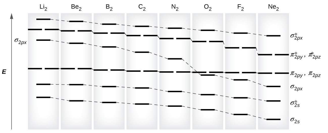 A graph is shown in which the y-axis is labeled, “E,” and appears as a vertical, upward-facing arrow. Across the top, the graph reads, “L i subscript 2,” “B e subscript 2,” “B subscript 2,” “C subscript 2,” “N subscript 2,” “O subscript 2,” “F subscript 2,” and “Ne subscript 2.” Directly below each of these element terms is a single pink line, and all lines are connected to one another by a dashed line, to create an overall line that decreases in height as it moves from left to right across the graph. This line is labeled, “sigma subscript 2 p x superscript asterisk”. Directly below each of these lines is a set of two pink lines, and all lines are connected to one another by a dashed line, to create an overall line that decreases in height as it moves from left to right across the graph. It is consistently lower than the first line. This line is labeled, “pi subscript 2 p y superscript asterisk,” and, “pi subscript 2 p z superscript asterisk.” Directly below each of these double lines is a single pink line, and all lines are connected to one another by a dashed line, to create an overall line that decreases in height as it moves from left to right across the graph. It has a distinctive drop at the label, “O subscript 2.” This line is labeled, “sigma subscript 2 p x.” Directly below each of these lines is a set of two pink lines, and all lines are connected to one another by a dashed line to create an overall line that decreases very slightly in height as it moves from left to right across the graph. It is consistently lower than the third line until it reaches the point labeled, “O subscript 2.” This line is labeled, “pi subscript 2 p y,” and, “pi subscript 2 p z.” Directly below each of these lines is a single blue line, and all lines are connected to one another by a dashed line to create an overall line that decreases in height as it moves from left to right across the graph. This line is labeled, “sigma subscript 2 s superscript asterisk.” Finally, directly below each of these lines is a single blue line, and all lines are connected to one another by a dashed line to create an overall line that decreases in height as it moves from left to right across the graph. This line is labeled. “sigma subscript 2 s.”