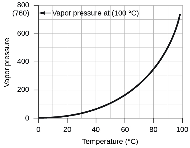 A graph is shown. The horizontal axis is labeled “Temperature ( degrees C )” with markings and labels provided for multiples of 20 beginning at 0 and ending at 100. The vertical axis is labeled “Vapor pressure ( torr )” with marking and labels provided for multiples of 200, beginning at 0 and ending at 800. A smooth solid black curve extends from the origin up and to the right across the graph. The graph shows a positive trend with an increasing rate of change. On the vertical axis is ( 7 60) and an arrow pointing to it. The arrow is labeled, “Vapor pressure at ( 100 degrees C ).”