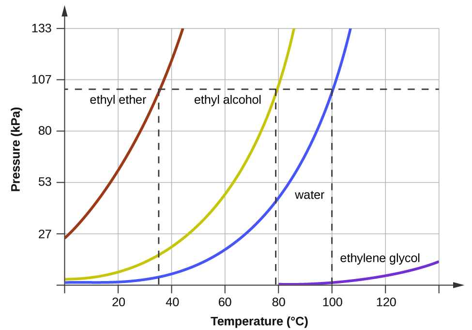 A graph is shown where the x-axis is labeled “Temperature ( degree sign, C )” and has values of 200 to 1000 in increments of 200 and the y-axis is labeled “Pressure ( k P a )” and has values of 20 to 120 in increments of 20. A horizontal dotted line extends across the graph at point 780 on the y-axis while three vertical dotted lines extend from points 35, 78, and 100 to meet the horizontal dotted line. Four lines are graphed. The first line, labeled “ethyl ether,” begins at the point “0 , 200” and extends in a slight curve to point “45, 1000” while the second line, labeled “ethanol”, extends from point “0, 20” to point “88, 1000” in a more extreme curve. The third line, labeled “water,” begins at the point “0, 0” and extends in a curve to point “108, 1000” while the fourth line, labeled “ethylene glycol,” extends from point “80, 0” to point “140, 100” in a very shallow curve.