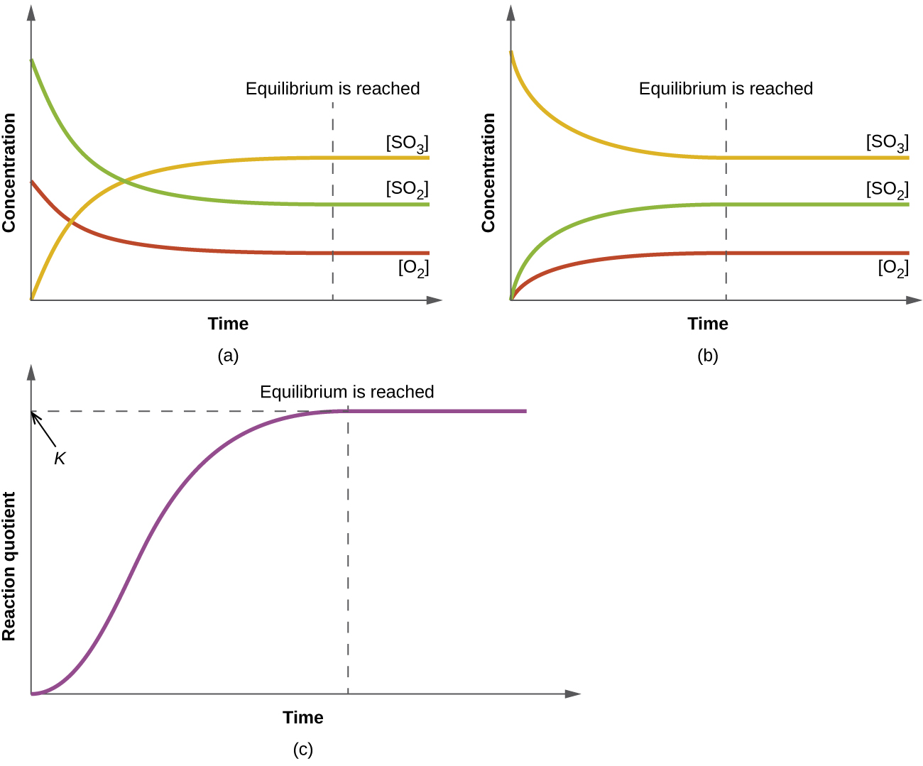 Three graphs are shown and labeled, “a,” “b,” and “c.” All three graphs have a vertical dotted line running through the middle labeled, “Equilibrium is reached.” The y-axis on graph a is labeled, “Concentration,” and the x-axis is labeled, “Time.” Three curves are plotted on graph a. The first is labeled, “[ S O subscript 2 ];” this line starts high on the y-axis, ends midway down the y-axis, has a steep initial slope and a more gradual slope as it approaches the far right on the x-axis. The second curve on this graph is labeled, “[ O subscript 2 ];” this line mimics the first except that it starts and ends about fifty percent lower on the y-axis. The third curve is the inverse of the first in shape and is labeled, “[ S O subscript 3 ].” The y-axis on graph b is labeled, “Concentration,” and the x-axis is labeled, “Time.” Three curves are plotted on graph b. The first is labeled, “[ S O subscript 2 ];” this line starts low on the y-axis, ends midway up the y-axis, has a steep initial slope and a more gradual slope as it approaches the far right on the x-axis. The second curve on this graph is labeled, “[ O subscript 2 ];” this line mimics the first except that it ends about fifty percent lower on the y-axis. The third curve is the inverse of the first in shape and is labeled, “[ S O subscript 3 ].” The y-axis on graph c is labeled, “Reaction Quotient,” and the x-axis is labeled, “Time.” A single curve is plotted on graph c. This curve begins at the bottom of the y-axis and rises steeply up near the top of the y-axis, then levels off into a horizontal line. The top point of this line is labeled, “k.”