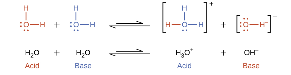 This figure has two rows. In both rows, a chemical reaction is shown. In the first, structural formulas are provided. In this model, in purple, O atom which has H atoms singly bonded above and to the right. The O atom has pairs of electron dots on its left and lower sides. This is followed by a plus sign, which is followed in green by an O atom which has H atoms singly bonded above and to the right. The O atom has pairs of electron dots on its left and lower sides. A double arrow follows. To the right, in brackets is a structure with a central O atom in green, with green H atoms singly bonded above and to the right. A pair of green electron dots is on the lower side of the O atom. To the left of the green O atom, a purple H atom is singly bonded. Outside the brackets to the right is a superscript plus. This is followed by a plus sign and an O atom in purple with pairs of electron dots above, left, and below. An H atom is singly bonded to the right. This atom has a superscript negative sign. The reaction is written in symbolic form below. H subscript 2 O is labeled in purple below as “Acid subscript 1.” This is followed by plus H subscript 2 O, which is labeled in green below as “Base subscript 2.” A double sided arrow follows. To the right is H subscript 3 O superscript plus, which is labeled in green as below in as “Acid subscript 2.” This is followed by plus and O with pairs of dots above, below, and to the left with a singly bonded H on the right with a superscript negative. The label below in purple reads, “ Base subscript 1.”