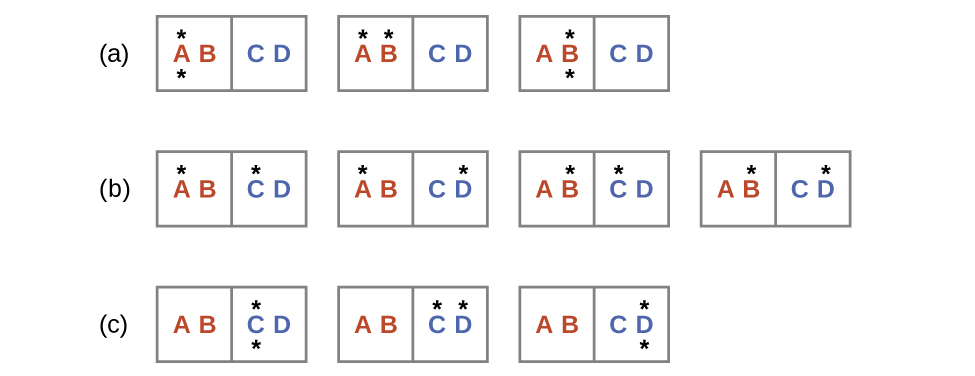 Three rows labeled a, b, and c are shown and each contains rectangles with two sides where the left side is labeled, “A,” and “B,” and the right is labeled, “C,” and “D.” Row a has three rectangles where the first has a dot above and below the letter A, the second has a dot above the A and B, and the third which has a dot above and below the letter B. Row b has four rectangles; the first has a dot above A and C, the second has a dot above A and D, the third has a dot above B and C and the fourth has a dot above B and D. Row c has three rectangles; the first has a dot above and below the letter C, the second has a dot above C and D and the third has a dot above and below the letter D.