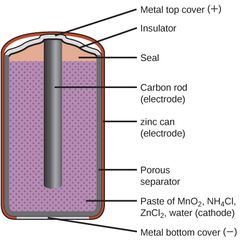 A diagram of a cross section of a dry cell battery is shown. The overall shape of the cell is cylindrical. The lateral surface of the cylinder, indicated as a thin red line, is labeled “zinc can (electrode).” Just beneath this is a slightly thicker dark grey surface that covers the lateral surface, top, and bottom of the battery, which is labeled “Porous separator.” Inside is a purple region with many evenly spaced small darker purple dots, labeled “Paste of M n O subscript 2, N H subscript 4 C l, Z n C l subscript 2, water (cathode).” A dark grey rod, labeled “Carbon rod (electrode),” extends from the top of the battery, leaving a gap of less than one-fifth the height of the battery below the rod to the bottom of the cylinder. A thin grey line segment at the very bottom of the cylinder is labeled “Metal bottom cover (negative).” The very top of the cylinder has a thin grey surface that curves upward at the center over the top of the carbon electrode at the center of the cylinder. This upper surface is labeled “Metal top cover (positive).” A thin dark grey line just below this surface is labeled “Insulator.” Below this, above the purple region, and outside of the carbon electrode at the center is an orange region that is labeled “Seal.”