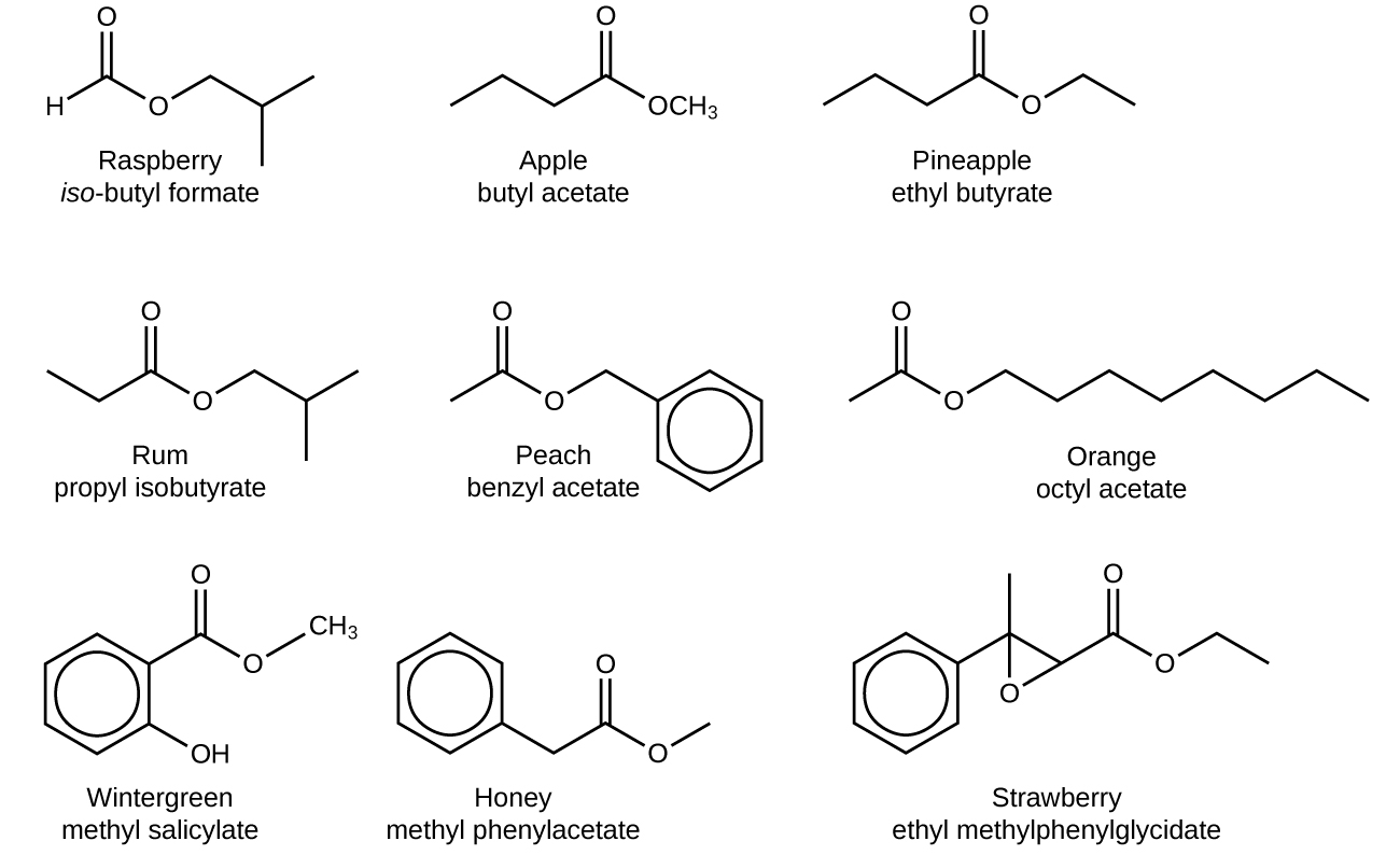 There are nine structures represented in this figure. The first is labeled, “raspberry,” and, “iso-butyl formate.” It shows an H atom with a line going up and to the right which then goes down and to the right. It goes up and to the right again and down and to the right and up and to the right. At the first peak is a double bond to an O atom. At the first trough is an O atom. At the second trough, there is a line going straight down. The second is labeled, “apple,” and, “butyl acetate.” There is a line that goes up and to the right, down and to the right, up and to the right, and down and to the right. At the second peak is a double bond to an O atom. At the end, on the right is O C H subscript 3. The third is labeled, “pineapple,” and, “ethyl butyrate.” It is a line that goes up and to the right, down and to the right, up and to the right, down and to the right, up and to the right, and down and to the right. At the second peak is a double bond to an O atom and at the second trough is an O atom. The fourth is labeled, “rum,” and “propyl isobutyrate.” It shows a line that goes down and to the right, up and to the right, down and to the right, up and to the right, down and to the right and up and to the right. The first complete peak has a double bond to an O atom and the second trough has an O atom. The fifth is labeled, “peach,” and “benzyl acetate.” It shows a line that goes up and to the right, down and to the right, up and to the right and down and to the right. This line connects to a hexagon with a circle inside it. The first peak has a double bond to an O atom and the first trough has an O atom. The sixth is labeled, “orange,” and, “octyl acetate.” It shows a line that goes up and to the right and down and to the right and up and to the right and down and to the right and up and to the right and down and to the right and up and to the right and down and to the right and up and to the right and down and to the right. The first peak has a double bond to an O atom and the first complete trough has and an O atom. The seventh is labeled, “wintergreen,” and “methyl salicylate.” It shows a hexagon with a circle inside of it. On the right, is a bond down and to the right to an O H group. On the right is a bond to a line that goes up and to the right and down and two the right and up and to the right. At the first peak is a double bond to an O atom, the next trough shows and O atom and at the end of the line is a C H subscript 3 group. The eighth is labeled, “honey,” and “methyl phenylacetate.” It shows a hexagon with a circle inside of it. It shows it connecting to a line on the right that goes down and to the right then up and to the right and down and to the right and up and to the right. At the first peak that is not part of the hexagon is a double bond to an O atom. At the last trough is an O atom. The ninth is labeled, “strawberry,” and “ethyl methylphenylglycidate.” This shows a hexagon with a circle inside of it. On the right, it connects to a line that goes up and to the right and down and to the right and up and to the right and down and to the right and up and to the right and down and to the right. At the first peak is a line that extends above and below. Below, it connects to an O atom. At the next trough, the line extends down and to the left to the same O atom. At the next peak is a double bond to an O atom and at the next trough is an O atom.