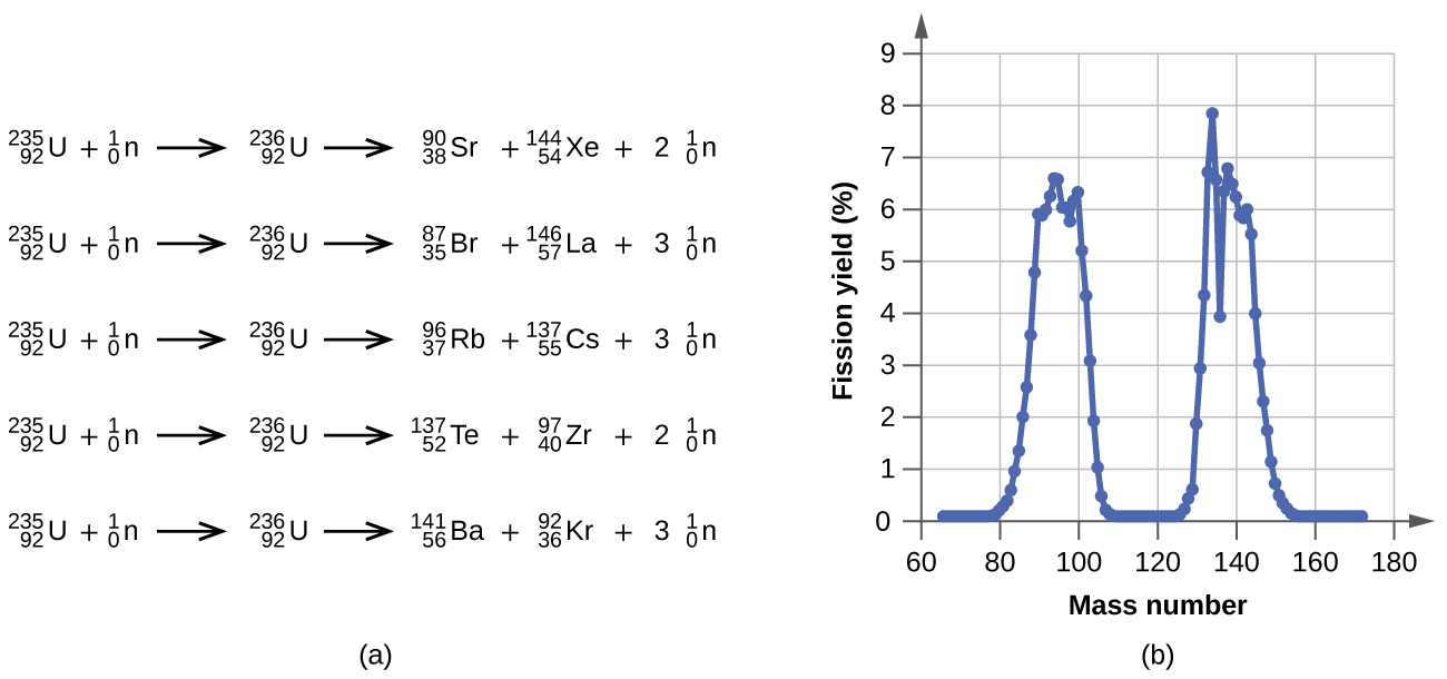 Five nuclear equations and a graph are shown. The first equation is “superscript, 235, subscript 92, U, plus sign, superscript, 1, subscript 0, n, yield arrow, superscript, 236, subscript 92, U, yield arrow, superscript, 90, subscript 38, S r, plus sign, superscript, 144, subscript 54, X e, plus sign, 2, superscript, 1, subscript 0, n.” The second equation is “superscript, 235, subscript 92, U, plus sign, superscript, 1, subscript 0, n, yield arrow, superscript, 236, subscript 92, U, yield arrow, superscript, 87, subscript 35, B r, plus sign, superscript, 146, subscript 57, L a, plus sign, 3, superscript, 1, subscript 0, n.” The third equation is “superscript, 235, subscript 92, U, plus sign, superscript, 1, subscript 0, n, yield arrow, superscript, 236, subscript 92, U, yield arrow, superscript, 97, subscript 37, R b, plus sign, superscript, 137, subscript 55, C s, plus sign, 3, superscript, 1, subscript 0, n.” The fourth equation is “superscript, 235, subscript 92, U, plus sign, superscript, 1, subscript 0, n, yield arrow, superscript, 236, subscript 92, U, yield arrow, superscript, 137, subscript 52, T e, plus sign, superscript, 97, subscript 40, Z r, plus sign, 2, superscript, 1, subscript 0, n.” The fifth equation is “superscript, 235, subscript 92, U, plus sign, superscript, 1, subscript 0, n, yield arrow, superscript, 236, subscript 92, U, yield arrow, superscript, 141, subscript 56, B a, plus sign, superscript, 92, subscript 36, K r, plus sign, 3, superscript, 1, subscript 0, n.” A graph is also shown where the y-axis is labeled “Fission yield, open parenthesis, percent sign, close parenthesis” and has values of 0 to 9 in increments of 1 while the x-axis is labeled “Mass number” and has values of 60 to 180 in increments of 20. The graph begins near point “65, 0” and rises rapidly to near “92, 6.6,” then drops just as rapidly to “107, 0” and remains there to point “127, 0.” The graph then rises again to near “132, 8,” then goes up and down a bit before falling to a point “153, 0,” and going horizontal.