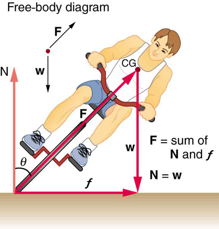 The given figure shows a boy riding a bicycle, from the front. The boy is sliding leftward to his left. Three vectors are shown. One is from the bottom the front cycle wheel to the right depicting centripetal force, another one is from the same point drawn vertically upward showing the force N, making an angle theta with the slope of the front cycle wheel. The third vector is drawn from the chest of the boy to vertically downward to the bottom showing his weight, w. An arrow from the bottom of the wheel to the chest point of the boy is also shown depicting the slope of the bicycle with force F exerting on it. A free-body diagram is also given alongside the figure showing the direction of weight and force vectors. And the values of net F equals to sum of N and centripetal force, and N equals to weight W also given alongside on the right.