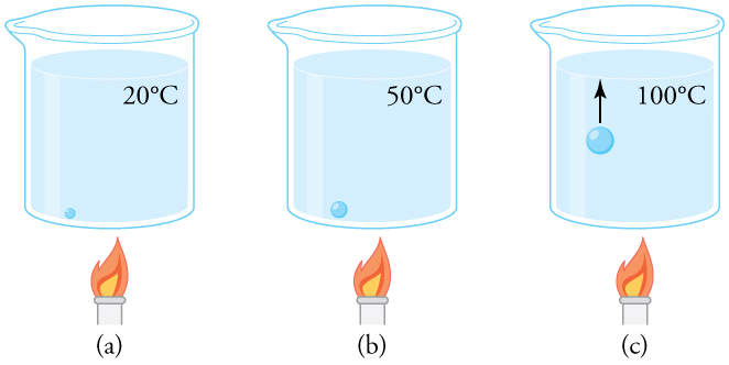 A beaker of water being heated over a flame. The beaker is shown at three different times. In the first, at twenty degrees C, a small bubble sits on the bottom of the beaker. In the second step, the water temperature is fifty degrees C and the bubble is larger, though still sitting on the bottom of the beaker. In the third step, the water temperature is one hundred degrees C. The bubble is larger and is rising toward the surface.