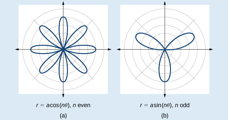 Graph of two rose curves side by side. (A) is r=acos(ntheta), where n is even. Eight petals extending from origin, equally spaced. (B) is r=asin(ntheta) where n is odd. Three petals extending from the origin, equally spaced.