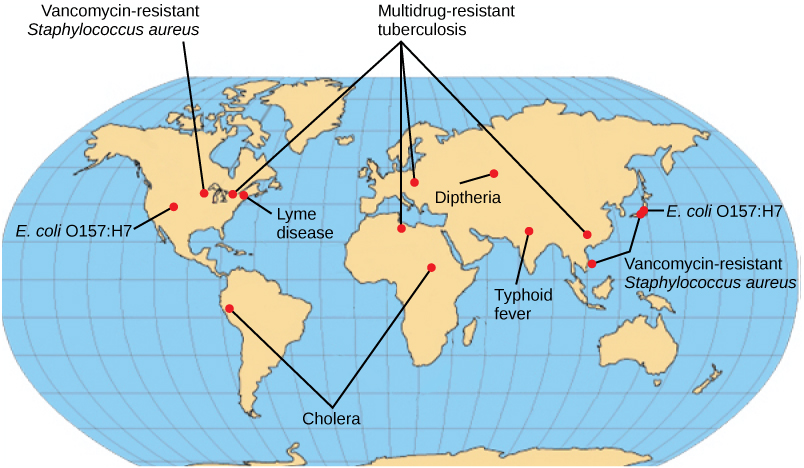 Emerging or re-emerging bacterial diseases are shown on a world map. Multidrug-resistant tuberculosis is emerging in North America, Europe, and Asia. Vancomycin-resistant Staphylococcus aureus and E. coli O157:H7 are emerging in North America and East Asia. Lyme disease is spreading in North America. Cholera is emerging in Africa and South America. Diptheria and typhoid fever are re-emerging in Asia.