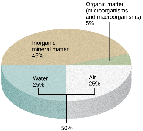  Illustration shows a pie graph that outlines the composition of soil. Forty-five percent is inorganic mineral matter, 25 percent is water, 25 percent is air, and 5 percent is organic matter, including microorganisms and macroorganisms.