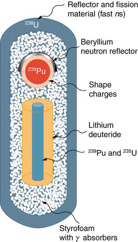 The bomb is in the shape of a capsule whose outer cover is made of uranium and inside it there are two sections, one of plutonium and uranium together in cylindrical shape covered with lithium deuteride and the other of plutonium beryllium, and both sections are immersed in Styrofoam.