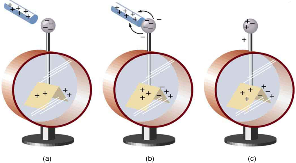 In part a, an electroscope is shown. A glass rod with positive signs is close to the tip of the electroscope which has negative signs on it and the leaves have has plus signs on it. In part b, the glass rod with positive sign is in contact with the tip of electroscope having negative signs. The negative signs are shown moving to the rod by arrows pointing toward the rod. The surfaces of the leaves now have both positive and negative charge. In part c, the glass rod is absent. The tip and the leaves of the electroscope have both positive and negative signs on them.