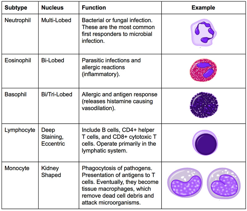 WBC Subtype Table.