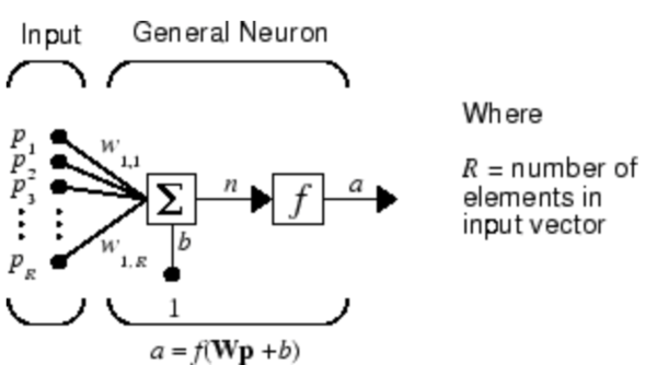 general neuron.