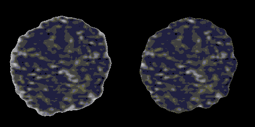 Cell Nucleus Comparison