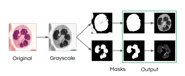 Image Processing