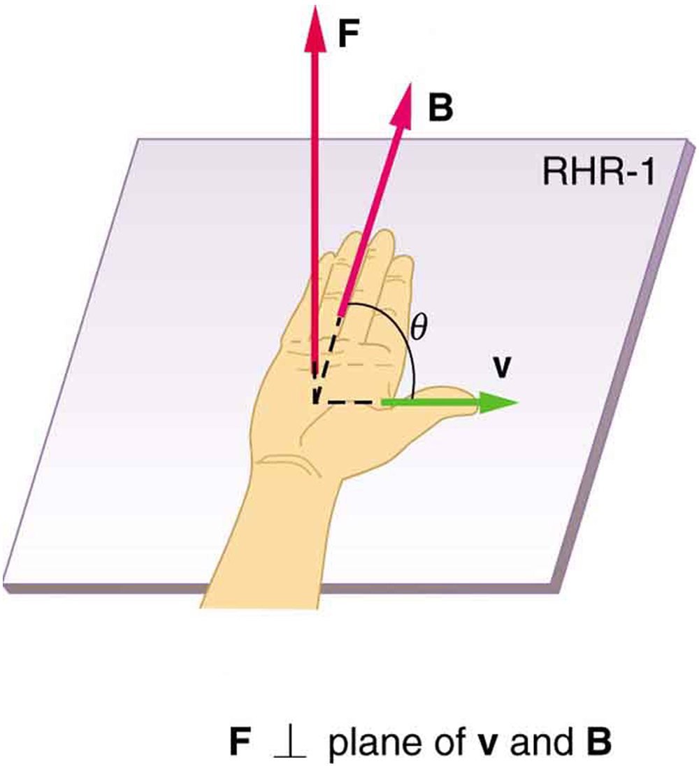 The right hand rule 1. An outstretched right hand rests palm up on a piece of paper on which a vector arrow v points to the right and a vector arrow B points toward the top of the paper. The thumb points to the right, in the direction of the v vector arrow. The fingers point in the direction of the B vector. B and v are in the same plane. The F vector points straight up, perpendicular to the plane of the paper, which is the plane made by B and v. The angle between B and v is theta. The magnitude of the magnetic force F equals q v B sine theta.