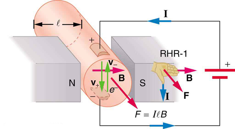 Diagram showing a cylinder of fluid of diameter l placed between the north and south poles of a magnet. The north pole is to the left. The south pole is to the right. The cylinder is oriented out of the page. The magnetic field is oriented toward the right, from the north to the south pole, and across the cylinder of fluid. A current-carrying wire runs through the fluid cylinder with current I oriented downward, perpendicular to the cylinder. Negative charges within the fluid have a velocity vector pointing up. Positive charges within the fluid have a velocity vector pointing downward. The force on the fluid is out of the page. An illustration of the right hand rule 1 shows the thumb pointing downward with the current, the fingers pointing to the right with B, and force F oriented out of the page, away from the palm.