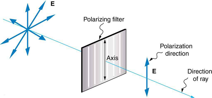 The figure shows a slender arrow pointing out of the page and to the right that is labeled direction of ray. At the left end of the ray are eight blue arrows emanating from a point on the ray. These arrows are all in a plane perpendicular to the ray and are symmetrically oriented in the perpendicular plane. They are labeled E. Farther to the right on the same ray is a thin rectangle labeled polarizing filter that is in the plane perpendicular to the ray. This filter has seven vertical lines that are equally spaced on its surface. It also has a vertical double headed arrow on its surface that is labeled axis. Still farther along the ray is a single blue double headed arrow oriented vertically that is labeled E and direction of polarization.