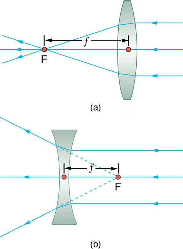 Figure (a) shows three parallel rays incident on the right side of a convex lens; after refraction they converge at F on the left side of the lens. The distance from the center of the lens to F is small f. Figure (b) shows three parallel rays incident on the right side of a concave lens; after refraction they appear to have come from F on the right side of the lens. The distance from the center of the lens to F is small f.