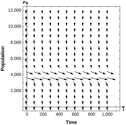 A direction field with arrows pointing down and to the right. Around y = 4,000, the arrows are more horizontal. The further the arrows are from this line, the more vertical the arrows become.