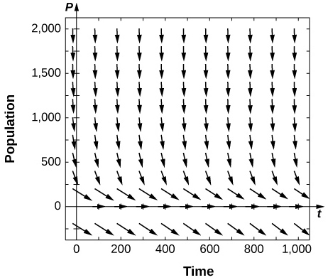 A direction field with arrows pointing to the right at P = 0. Below 0, the arrows point down and to the right. Above 0, the arrows point down and to the right. The further away from 0, the more vertical the arrows become.