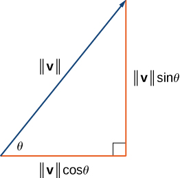 This figure is a right triangle. There is an angle labeled theta. The two sides are labeled “magnitude of v times cosine theta” and “magnitude of v times sine theta.” The hypotenuse is labeled “magnitude of v.”