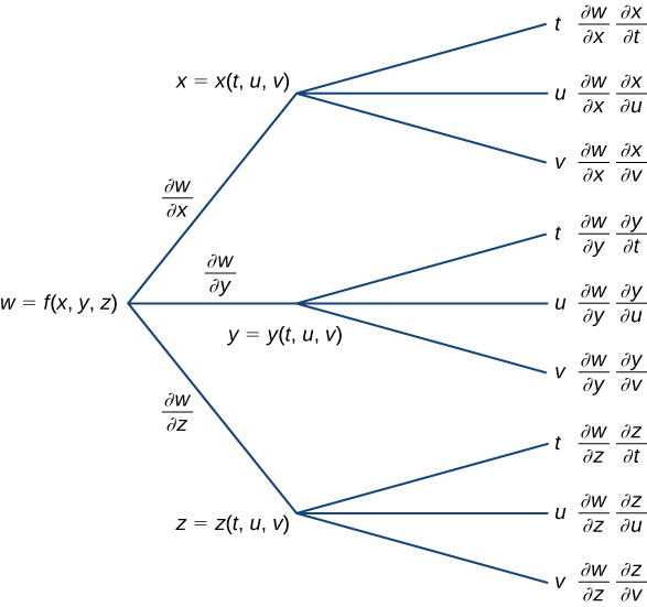 A diagram that starts with w = f(x, y, z). Along the first branch, it is written ∂w/∂x, then x = x(t, u, v), at which point it breaks into another three subbranches: the first subbranch says t and then ∂w/∂x ∂x/∂t; the second subbranch says u and then ∂w/∂x ∂x/∂u; and the third subbranch says v and then ∂w/∂x ∂x/∂v. Along the second branch, it is written ∂w/∂y, then y = y(t, u, v), at which point it breaks into another three subbranches: the first subbranch says t and then ∂w/∂y ∂y/∂t; the second subbranch says u and then ∂w/∂y ∂y/∂u; and the third subbranch says v and then ∂w/∂y ∂y/∂v. Along the third branch, it is written ∂w/∂z, then z = z(t, u, v), at which point it breaks into another three subbranches: the first subbranch says t and then ∂w/∂z ∂z/∂t; the second subbranch says u and then ∂w/∂z ∂z/∂u; and the third subbranch says v and then ∂w/∂z ∂z/∂v.