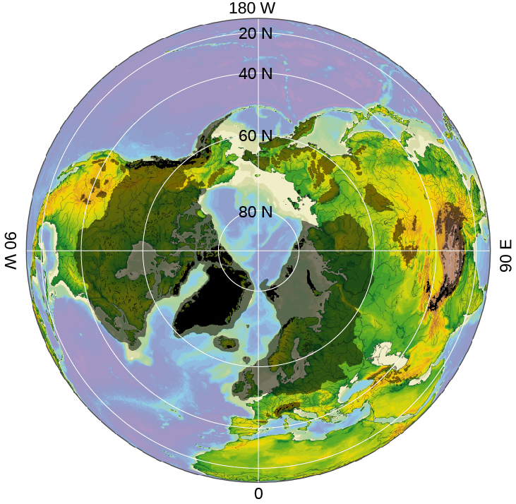 Illustration of Recent Ice Ages in the Northern Hemisphere. Looking down on the North Pole, black areas cover Greenland, the west coast of Canada, and the Himalayas indicating current glacial coverage. Over-plotted in semi-transparent grey is the extent of the last major ice age. This covered most of North America, much of Northern Europe and Siberia, and the Tibetan Plateau.