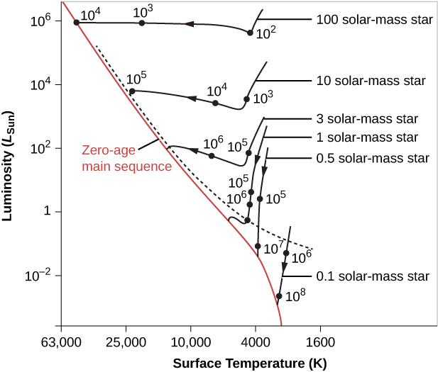 An H-R Diagram of the Evolutionary Tracks for Contracting Protostars. The vertical scale is labeled “Luminosity”, in units of the luminosity of the Sun. The scale starts at 10-4 at the bottom and goes to 106 at the top. The horizontal scale is labeled “Surface Temperature (K)”, in degrees Kelvin. The scale begins at 63,000 on the left down to 1,600 on the far right. A red line running diagonally across the diagram from upper left to lower right marks the zero-age main sequence. A black dashed line is drawn slightly above the red line, above which stars may still be surrounded by infalling material. Six curves are shown to illustrate how stars of different masses change as they evolve toward the zero-age main sequence. On each curve are dots indicating the amount of time since the initial collapse that it takes for the star to reach that position on the H-R diagram. For example, after 100 years a 100 Solar mass star will have collapsed to the point that its temperature is about 4000 K, and its luminosity is nearly 106 that of the Sun. At 1000 years the temperature is now about 20,000 K and nearly the same luminosity. At 10,000 years the star has reached the zero-age main sequence with a surface temperature of nearly 50,000 K and luminosity 106 times Solar. As a further example, a star of one Solar mass takes longer to collapse. At 100,000 years its temperature is just above 4000 K and its luminosity as about 3 times Solar. At one million years the temperature has increased slightly, but the luminosity as dropped to about 1.5. When it finally settles on the zero-age main sequence, the temperature has risen to over 5000 K, and its luminosity has dropped to one.