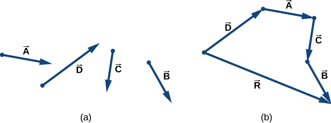 In figure a, four vectors, labeled A, B, C, and D are shown individually. In figure b, the vectors are shown arranged head to tail: Vector A’s tail is at the head of D. Vector C’s tail is at the head of A. And vector B’s tail is at the head of C. Each vector is pointing in the same direction as it is in figure a. A fifth vector, R, starts at the tail of vector D and ends at the head of vector B.