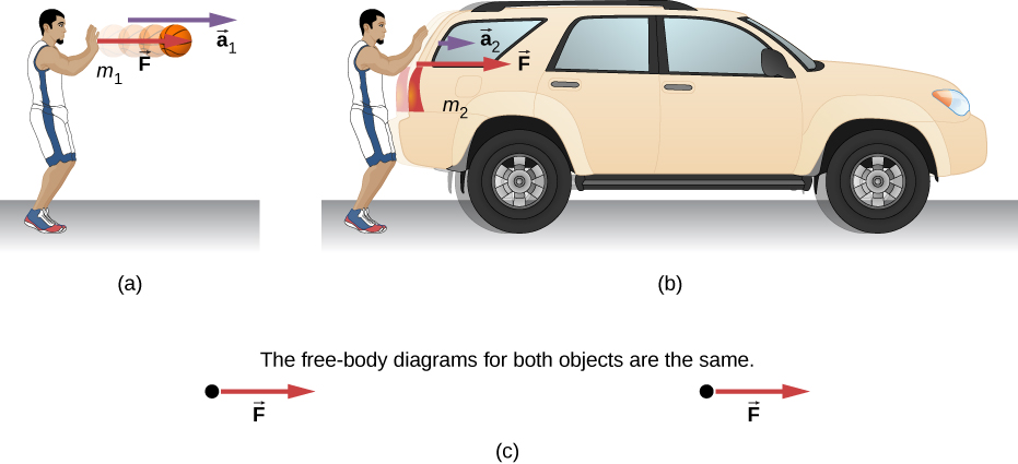 Figure a shows a person exerting force F on a basketball with mass m1. The ball is shown to move to the rigth with an acceleration a1. Figure b shows the person exerting the same amount of force, F on an SUV with mass m2. The acceleration is a2, which is much smaller than a1. Figure c shows the free body diagrams of both systems shown in figure a and figure b. Both show the force F having the same magnitude and direction. The label reads: the free-body diagrams of both objects are the same.