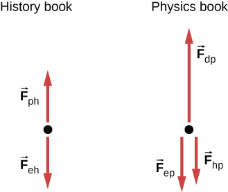 Two free body diagrams are shown. The first one has F subscript ph pointing up and F subscript eh pointing down. The second has F subscript dp pointing up and F subscript hp and F subscript ep pointing down.